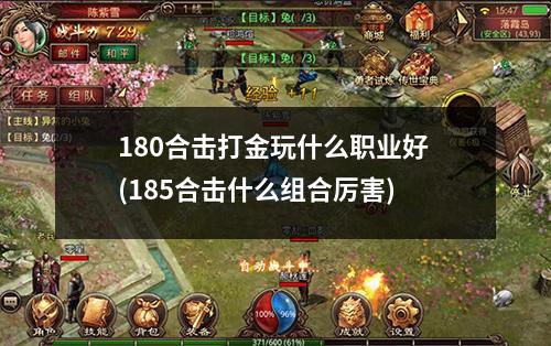 180合击打金玩什么职业好 (185合击什么组合厉害)