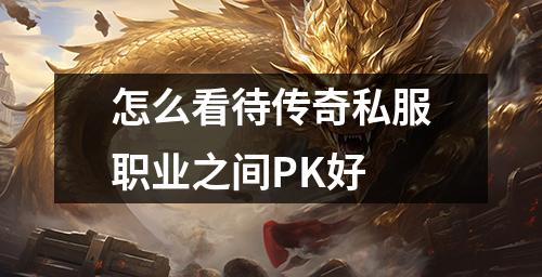 怎么看待传奇私服职业之间PK好