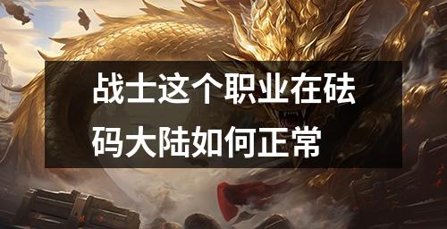 战士这个职业在砝码大陆如何正常