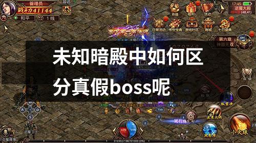 未知暗殿中如何区分真假boss呢
