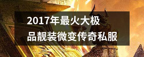 2017年最火大极品靓装微变传奇私服