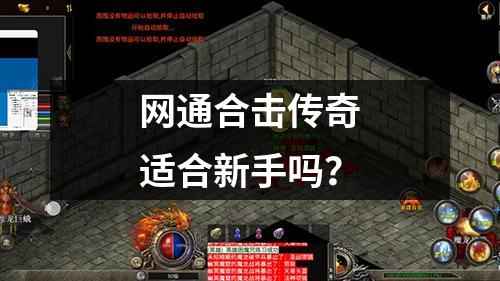 网通合击传奇适合新手吗？