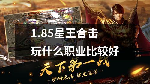 1.85星王合击玩什么职业比较好